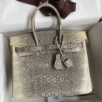 Hermes Birkin 25 Retourne Handmade Bag In Ombre Lizard Leather HD98JB76