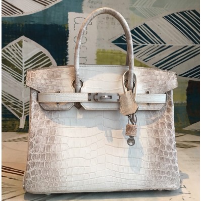 Hermes Birkin 30 Bag In Himalaya Niloticus Crocodile Skin HD230ho15