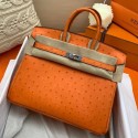 Hermes Birkin 25 Handmade Bag In Orange Ostrich Leather HD1755UW33