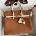 Hermes HSS Birkin 25 Bicolor Bag in Gold and Craie Clemence Leather HD755aM39