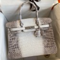 High Quality Hermes Birkin 25 Retourne Bag In Himalaya Niloticus Crocodile Skin HD68Es35