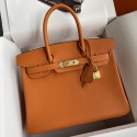 Imitation Hermes Birkin 25 Handmade Bag In Orange Clemence Leather HD1754Gp56