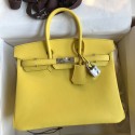 Replica Hermes Birkin 25 Retourne Handmade Bag In Lime Swift Calfskin HD91fp99