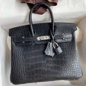 Hermes Birkin 25 Bag In Black Matte Alligator Crocodile Skin HD268ta99