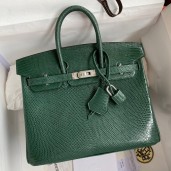 Hermes Birkin 25 Retourne Handmade Bag In Malachite Lizard Leather HD93AM45