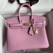 Hermes Birkin 25 Retourne Handmade Bag In Mauve Sylvestre Clemence Leather HD94PA58