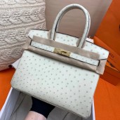 Hermes Birkin 30 Handmade Bag In Beton Ostrich Skin HD61BR87