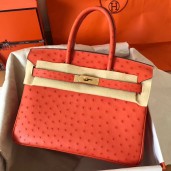 Hermes Birkin 30 Handmade Bag In Orange Ostrich Skin HD1757QN24