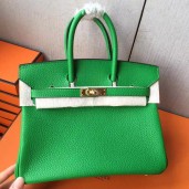 Imitation Hermes Birkin 25 Handmade Bag In Bambou Clemence Leather HD42SU87