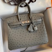 Imitation Hermes Birkin 25 Retourne Handmade Bag In Gris Tourterelle Ostrich Leather HD89QQ72