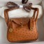 Hermes Mini Lindy Handmade Bag In Gold Ostrich Leather HD1577rH96