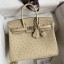 Replica Top Hermes Birkin 25 Retourne Handmade Bag In Parchemin Ostrich Leather HD99of41