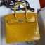 Top Hermes Birkin 25 Handmade Bag In Yellow Crocodile Niloticus Shiny Skin HD67Wi77