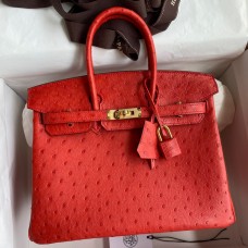 Hermes Birkin 25 Retourne Handmade Bag In Red Ostrich Leather HD105lV14